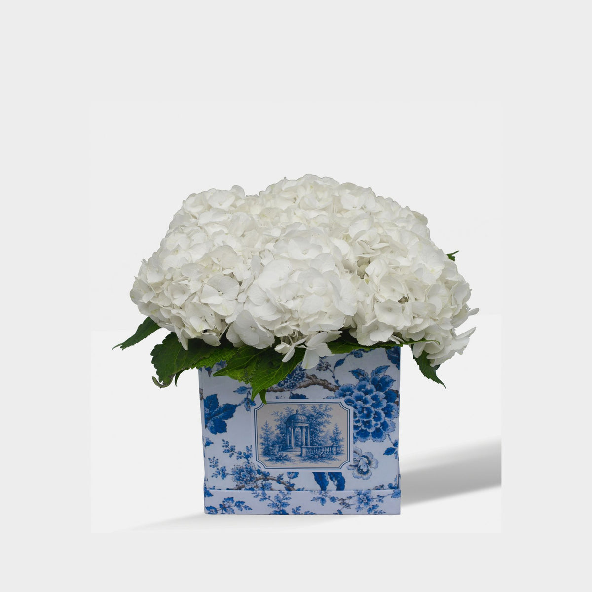 Uli toile box with white hydrangeas