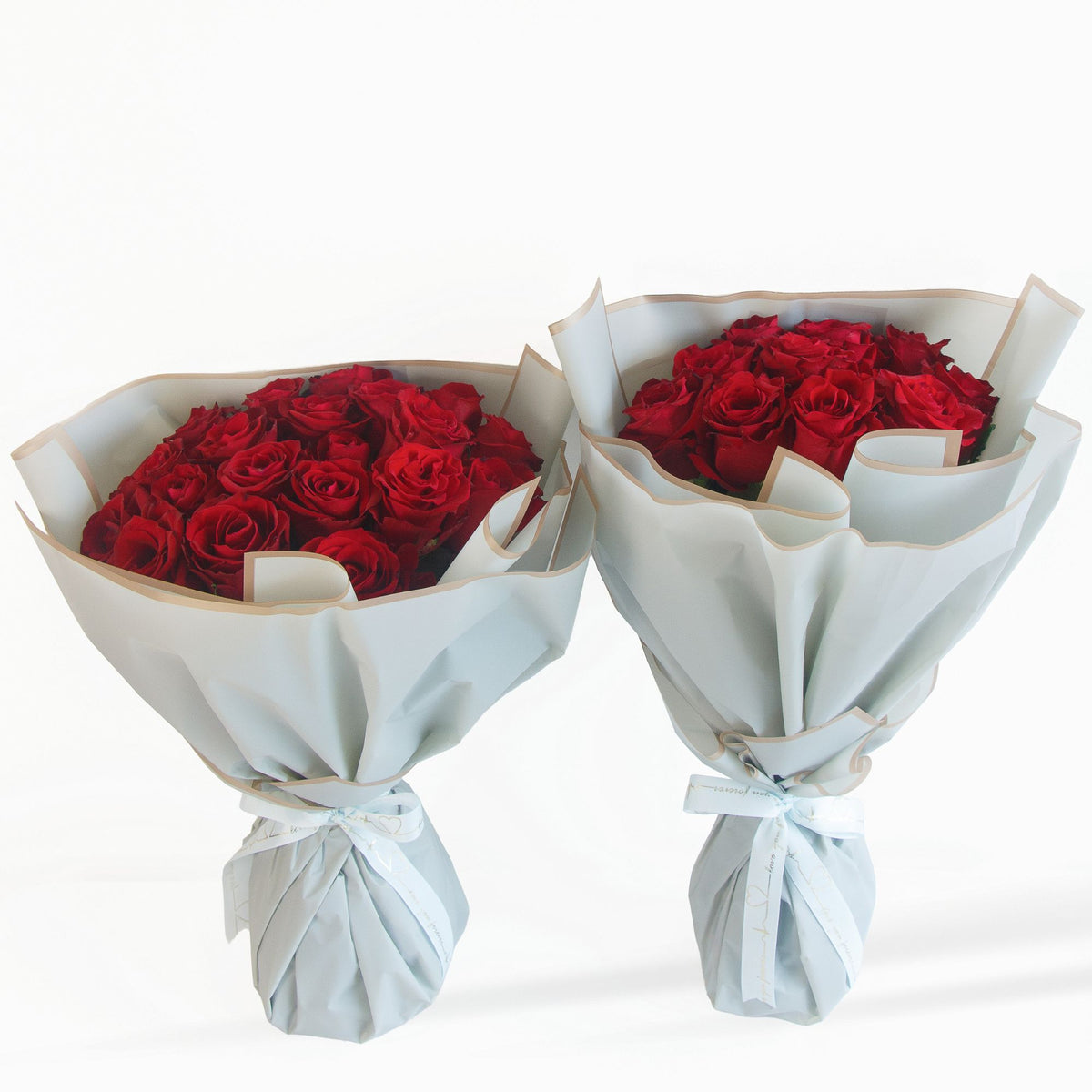 Classic red rose