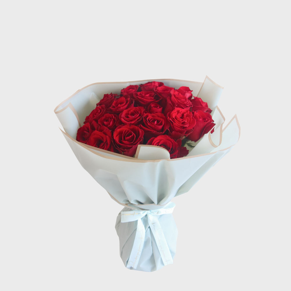 Classic red rose
