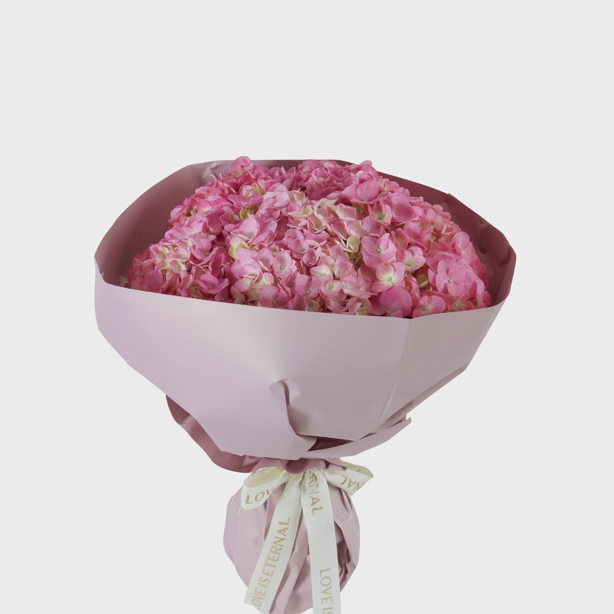 #color_fuchsia pink