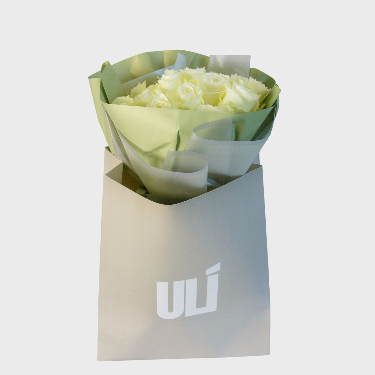 Classic white rose