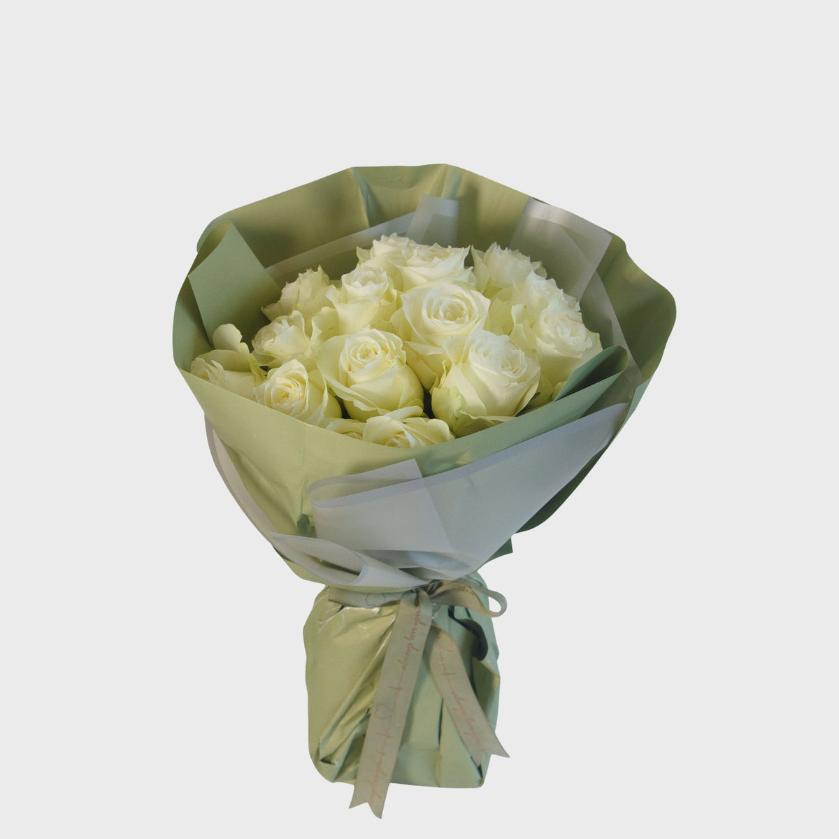 Classic white rose